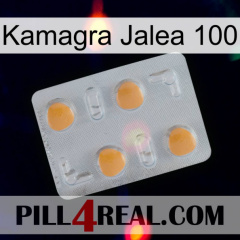 Kamagra Jelly 100 24